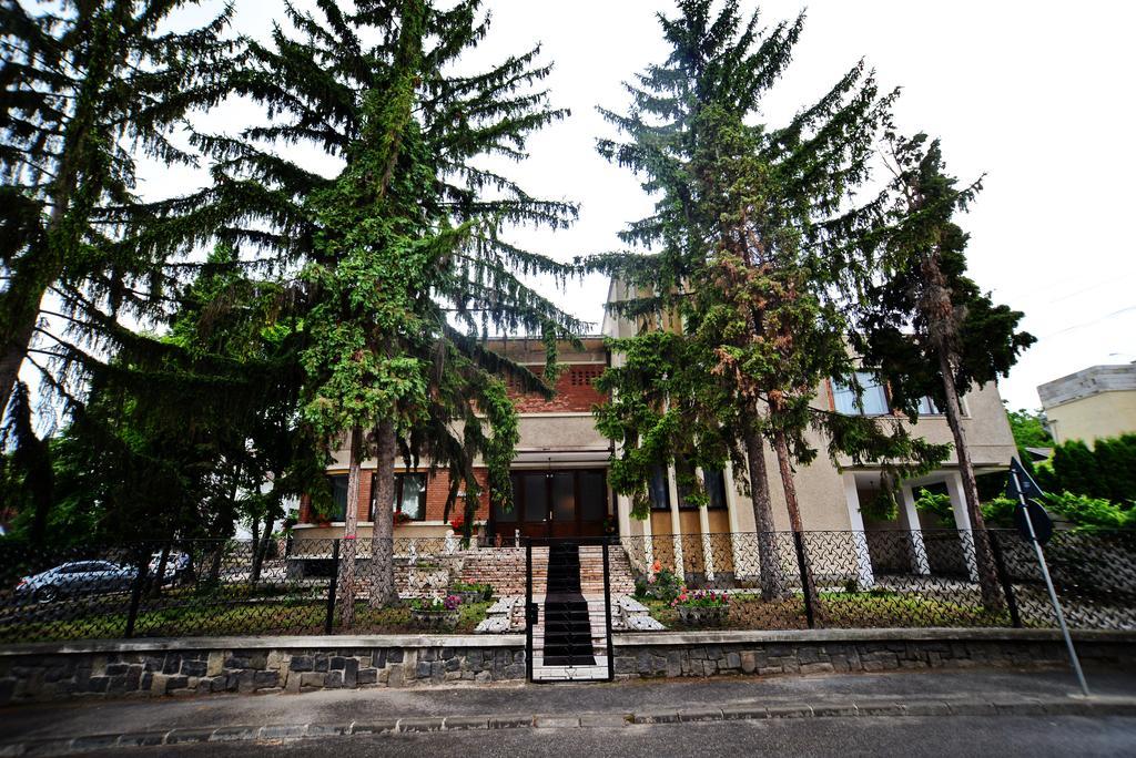Casa Negustorului Hotel เดวา ภายนอก รูปภาพ